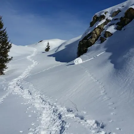 De La Lignarre